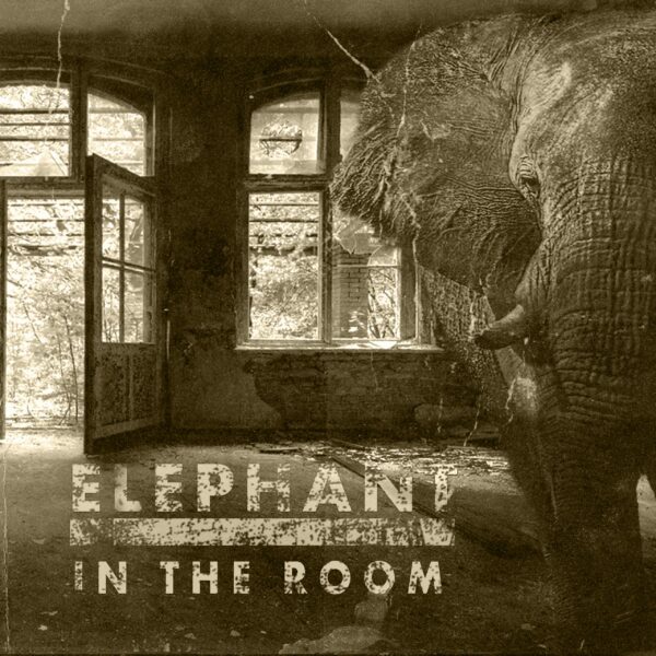 Elephant in the room cover